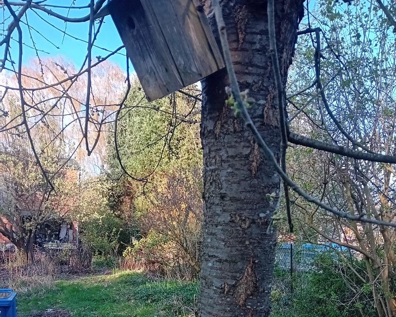 Accueil de la faune